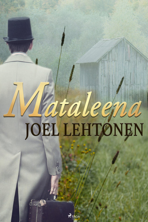 Omslag: Mataleena