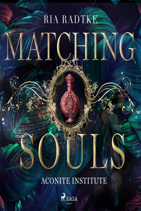 Omslag: Matching Souls