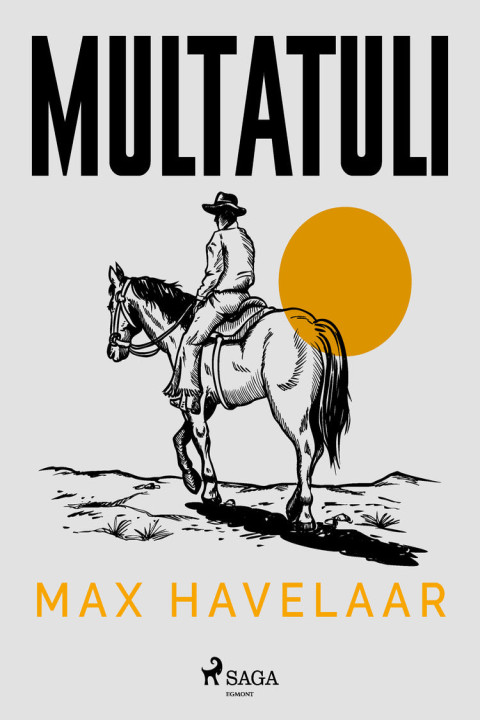 Omslag: Max Havelaar