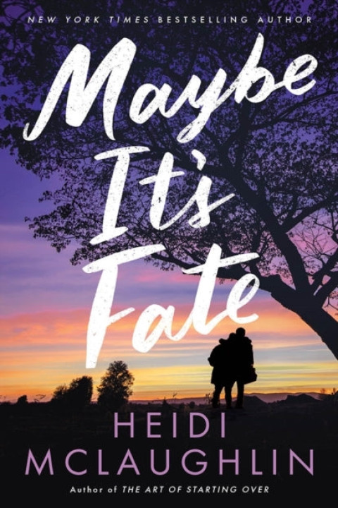 Omslag: Maybe It s Fate