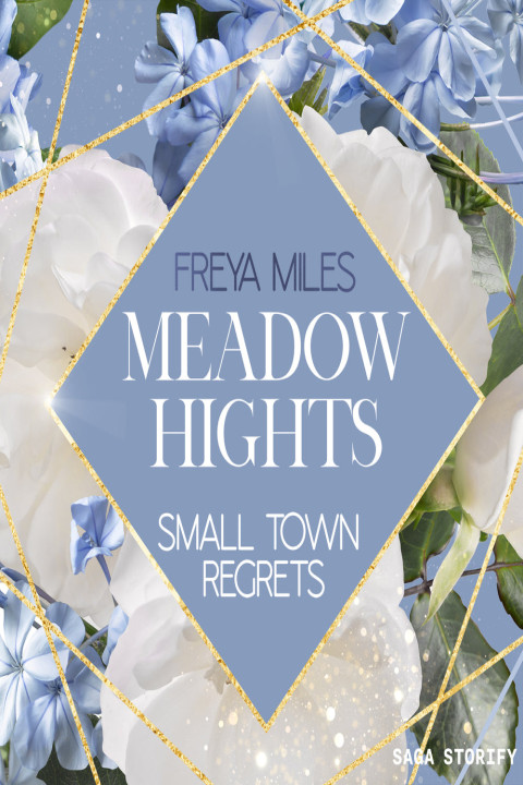 Omslag: Meadow Hights - Small Town Regrets