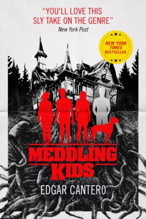 Omslag: Meddling Kids