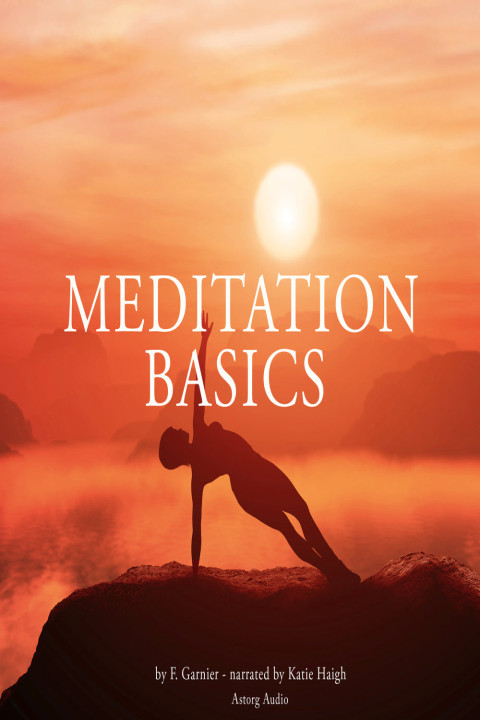 Omslag: Meditation Basics