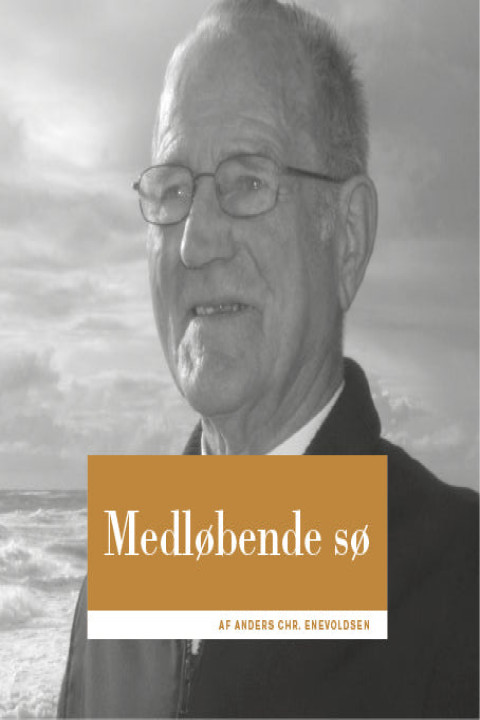 Omslag: Medløbende sø