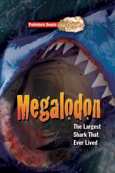 Omslag: Megalodon