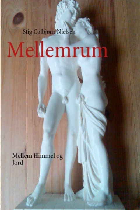 Omslag: Mellemrum