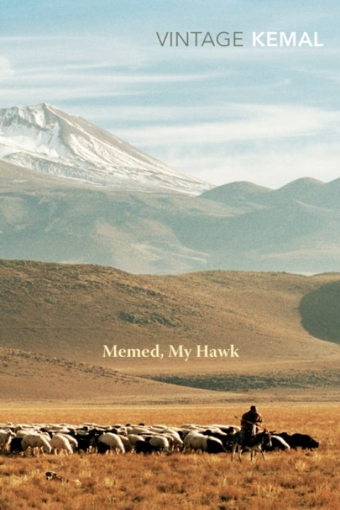 Omslag: Memed My Hawk