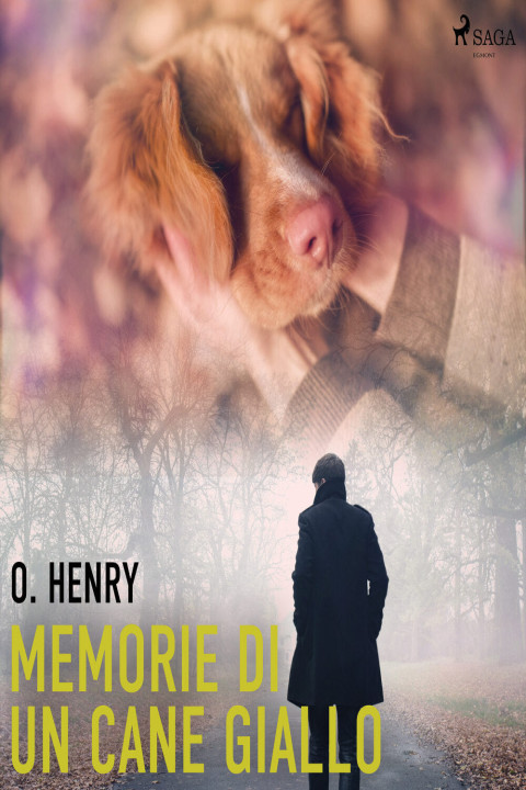 Omslag: Memorie di un cane giallo