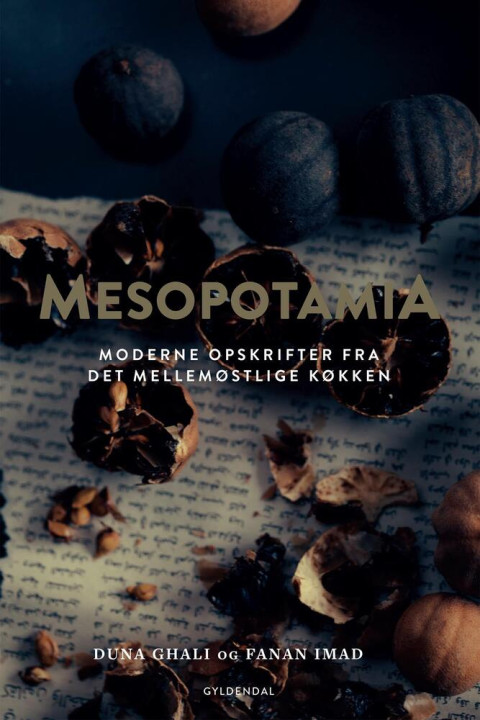 Omslag: Mesopotamia
