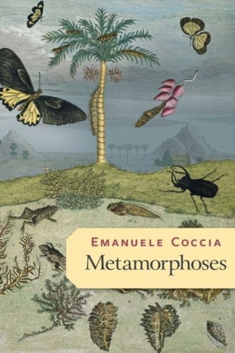 Omslag: Metamorphoses