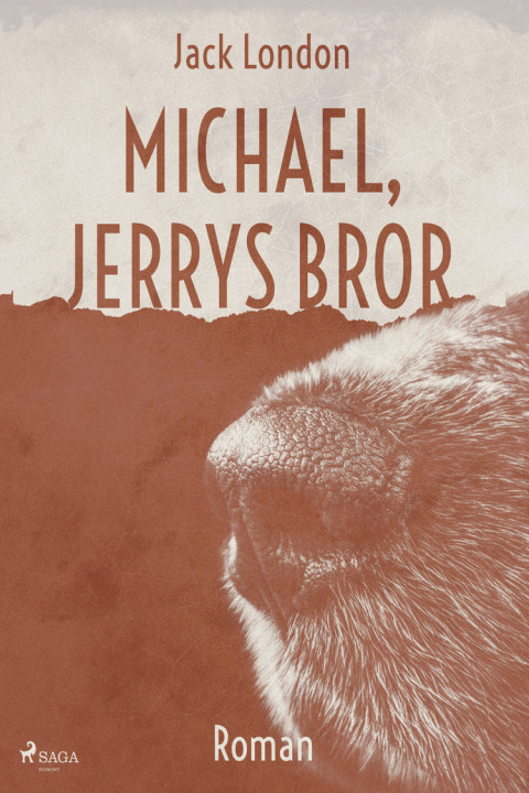 Omslag: Michael, Jerrys bror