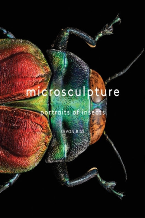 Omslag: Microsculpture