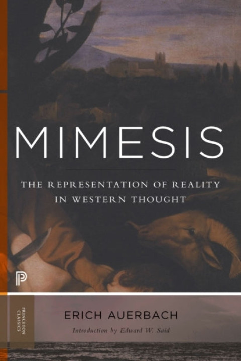 Omslag: Mimesis