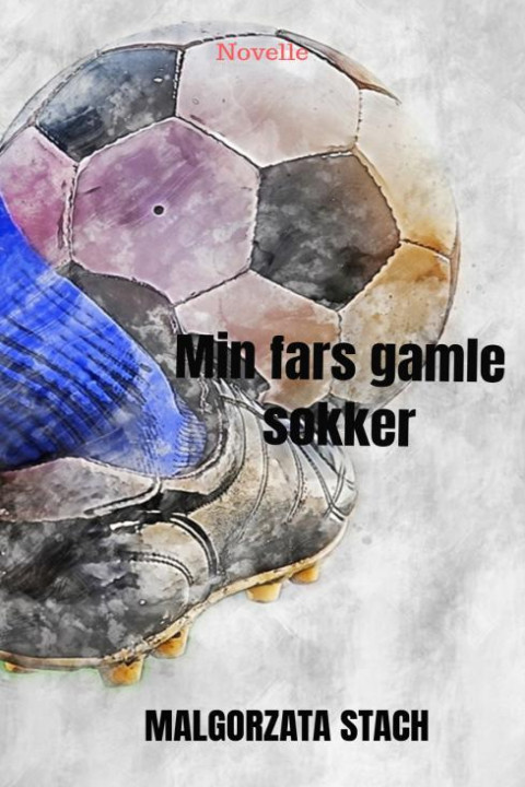 Omslag: Min fars gamle sokker