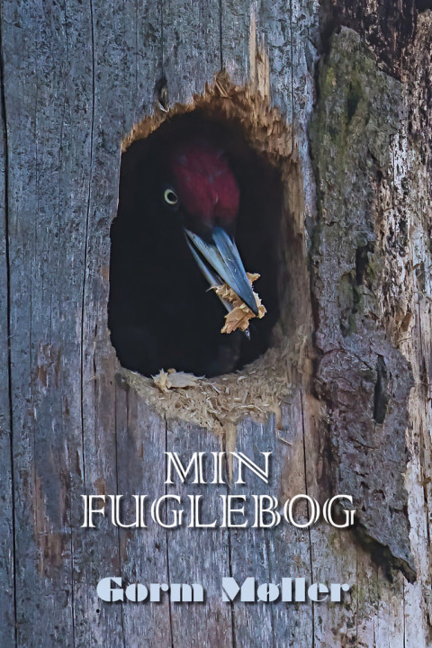 Omslag: Min fuglebog