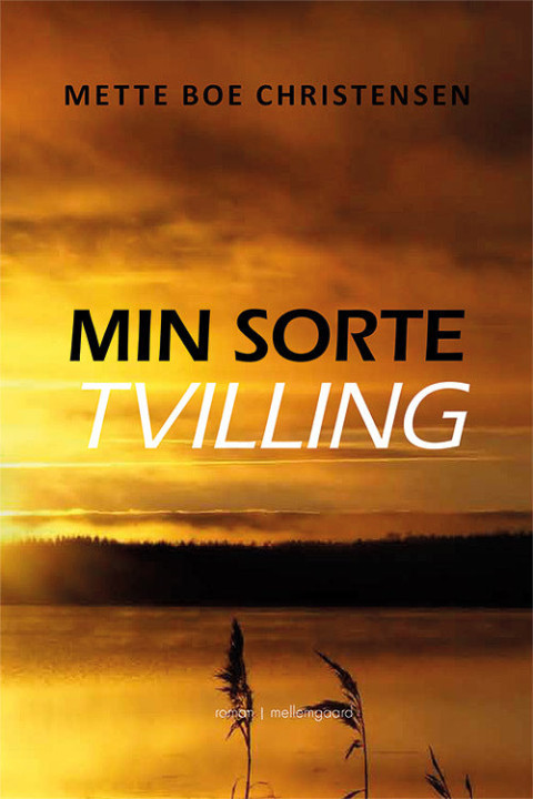 Omslag: Min sorte tvilling