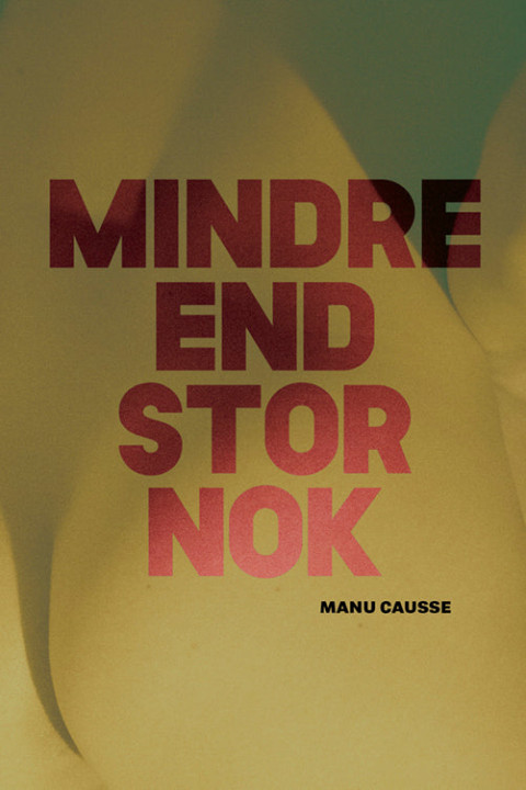 Omslag: Mindre end stor nok
