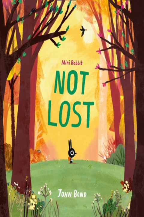 Omslag: Mini Rabbit Not Lost