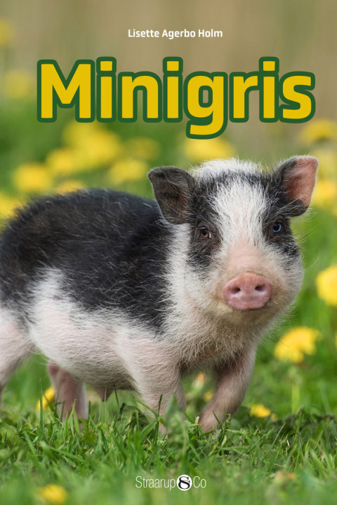 Omslag: Minigris