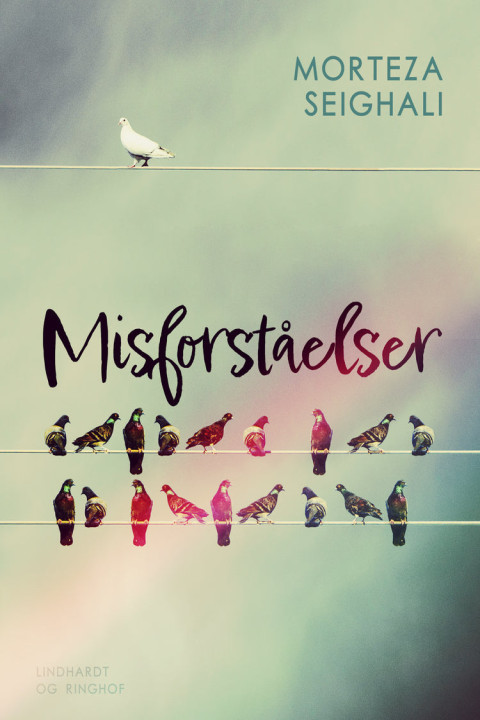 Omslag: Misforståelser