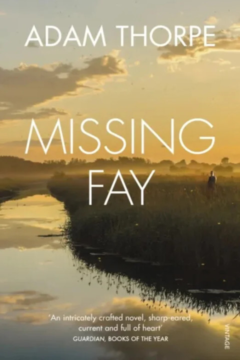 Omslag: Missing Fay