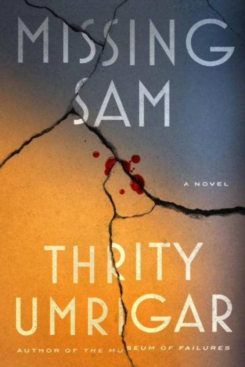 Omslag: Missing Sam