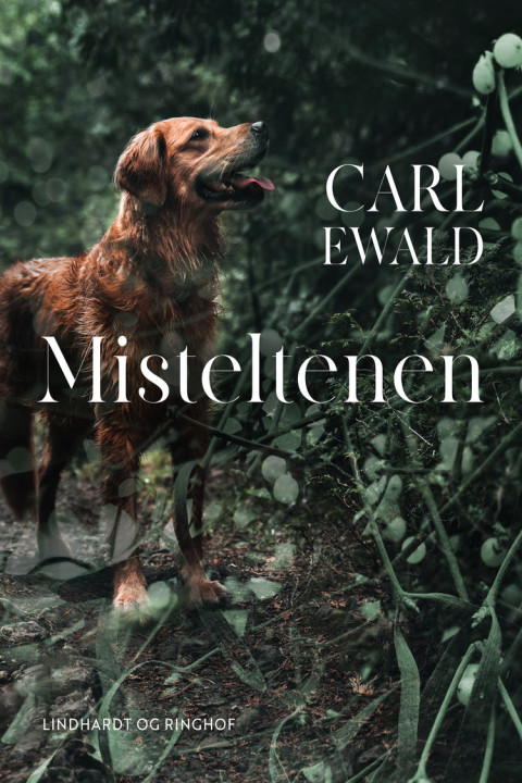 Omslag: Misteltenen