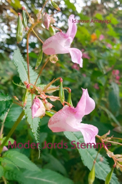 Omslag: Moder Jords Stemme