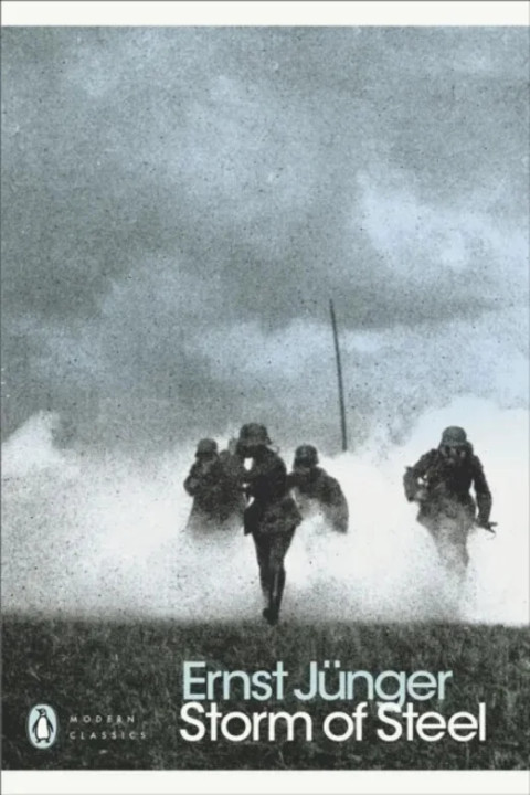 Omslag: Modern Classics Storm of Steele