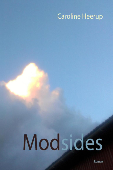 Omslag: Modsides