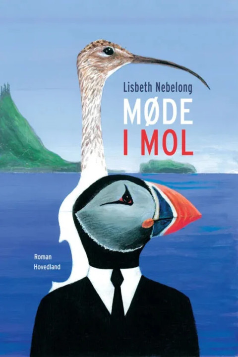 Omslag: Møde i mol