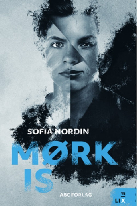Omslag: Mørk is
