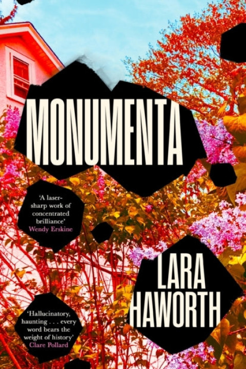 Omslag: Monumenta