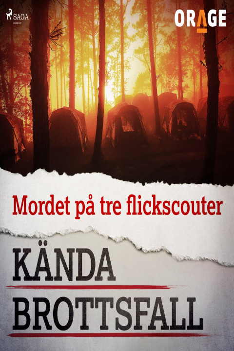 Omslag: Mordet på tre flickscouter