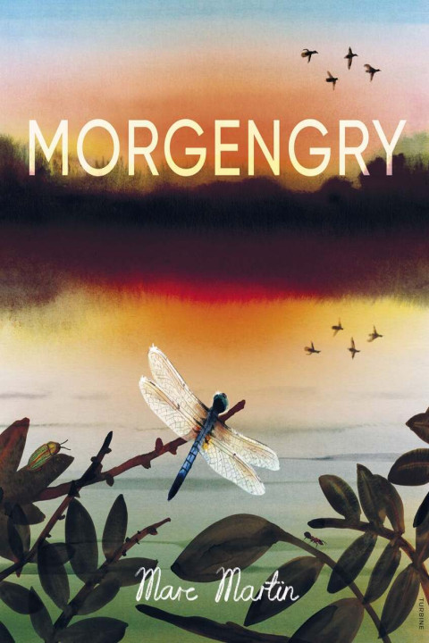 Omslag: Morgengry