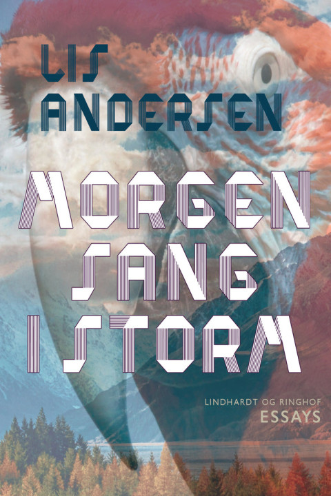 Omslag: Morgensang i storm