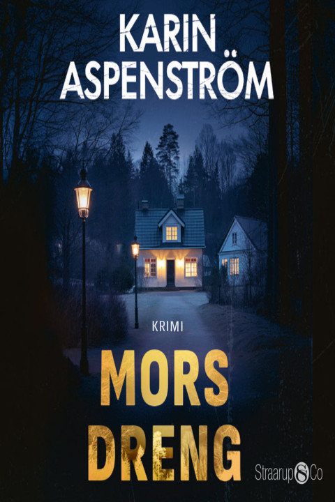 Omslag: Mors dreng