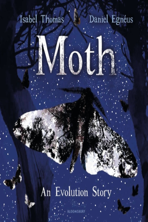 Omslag: Moth