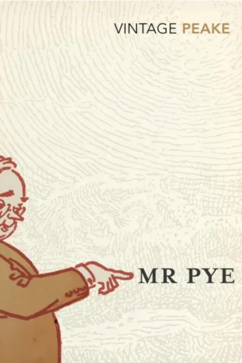 Omslag: Mr Pye