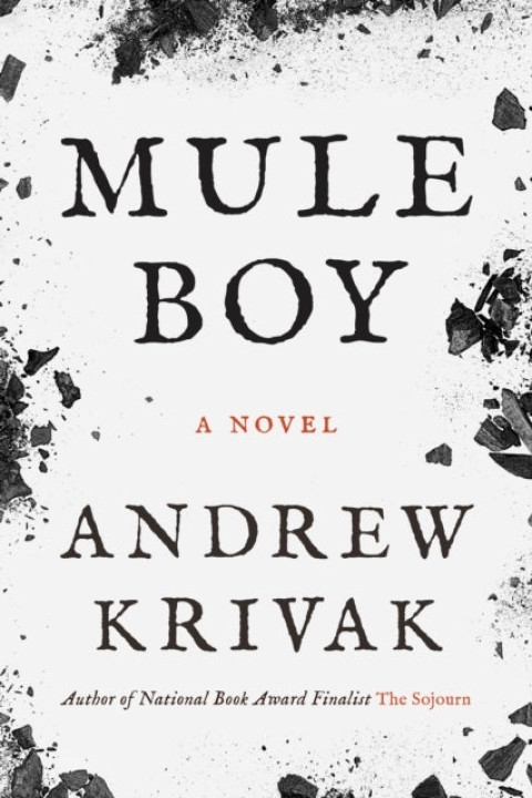 Omslag: Mule Boy