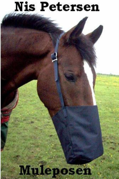 Omslag: Muleposen