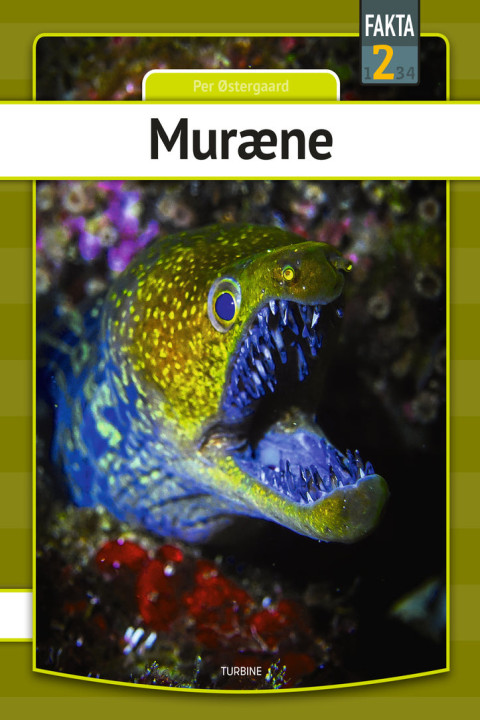 Omslag: Muræne