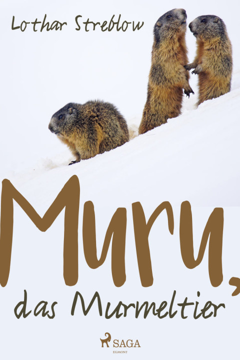 Omslag: Murru, das Murmeltier