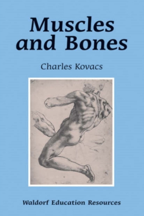 Omslag: Muscles and Bones