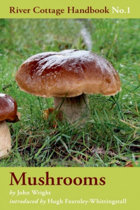 Omslag: Mushrooms
