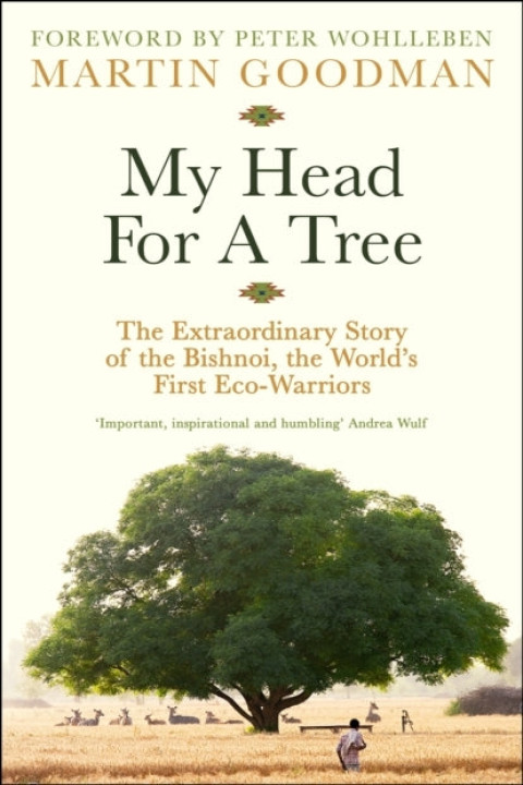 Omslag: My Head for a Tree