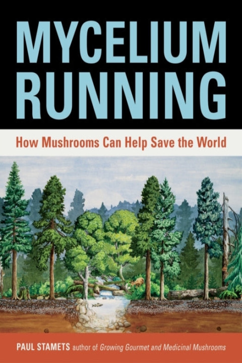 Omslag: Mycelium Running