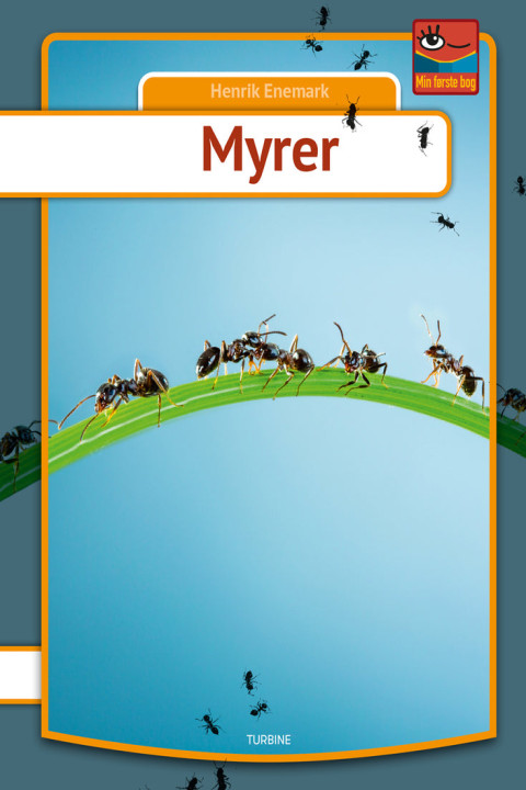Omslag: Myrer