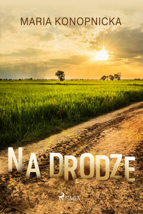 Omslag: Na drodze