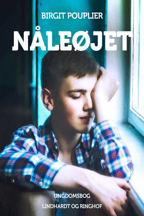 Omslag: Nåleøjet